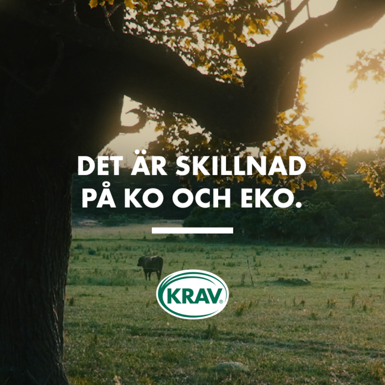 Kons roll i ett KRAV-märkt kretslopp