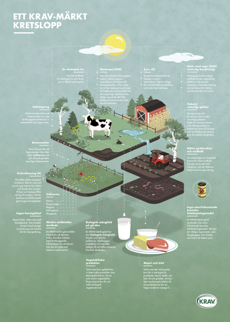 stor_infografik_web